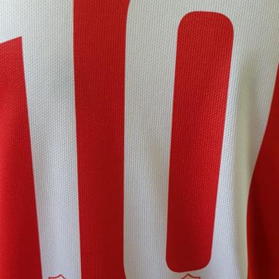 Fc Castello Calcio 6